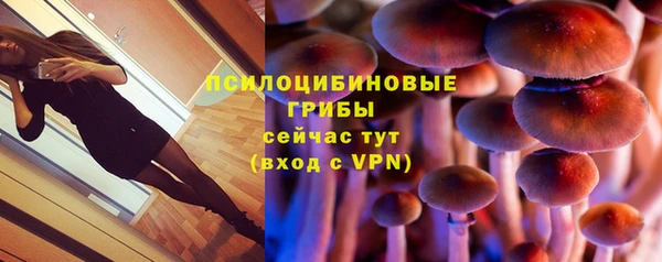 прущие грибы Россошь
