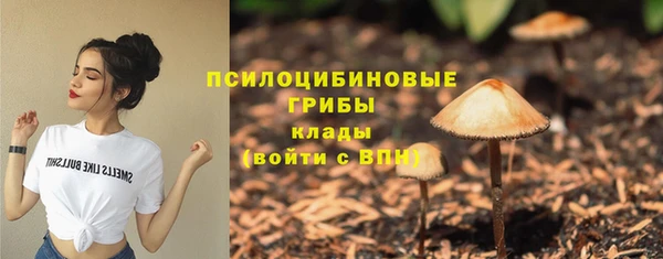 героин Рославль