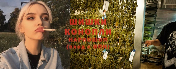 прущие грибы Россошь
