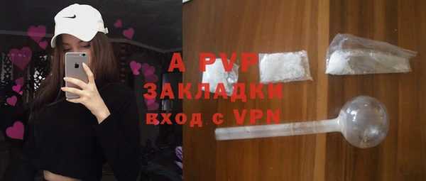прущие грибы Россошь