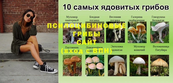 мескалин Ростов