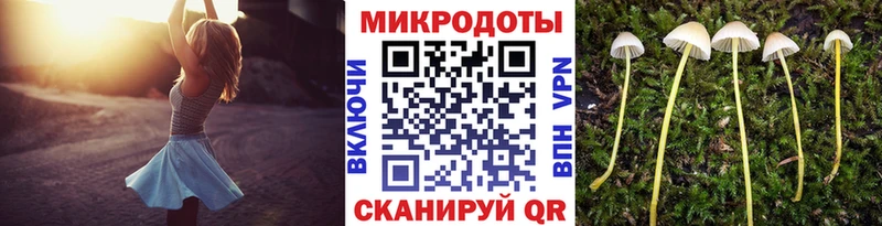 Псилоцибиновые грибы мухоморы  Купить закладки  Качканар 